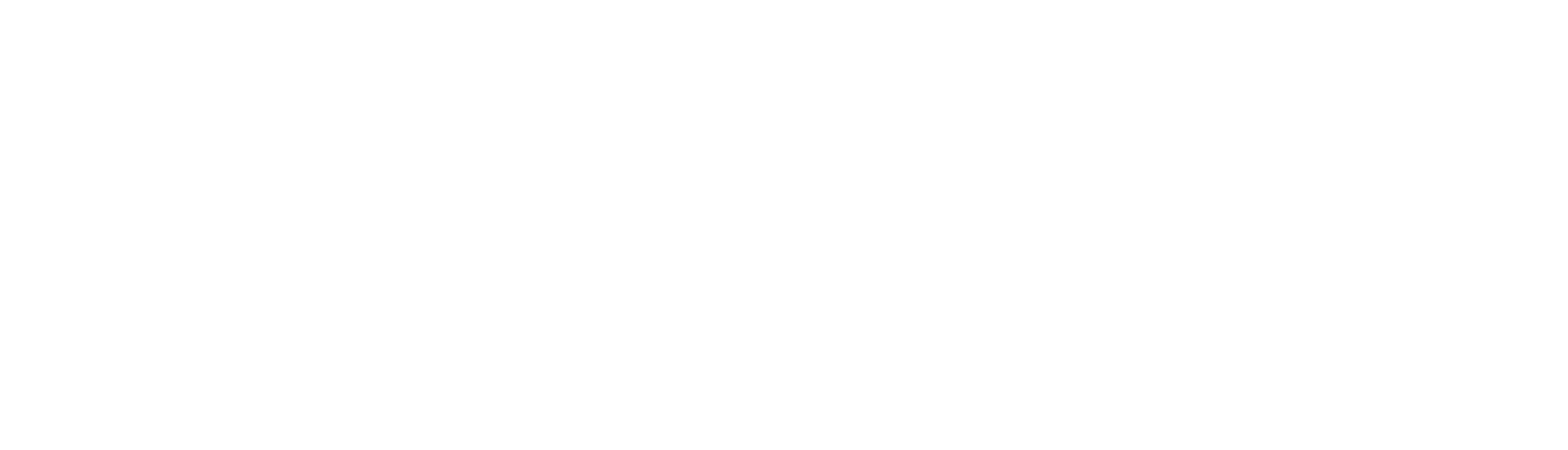 Free Economic Zone
